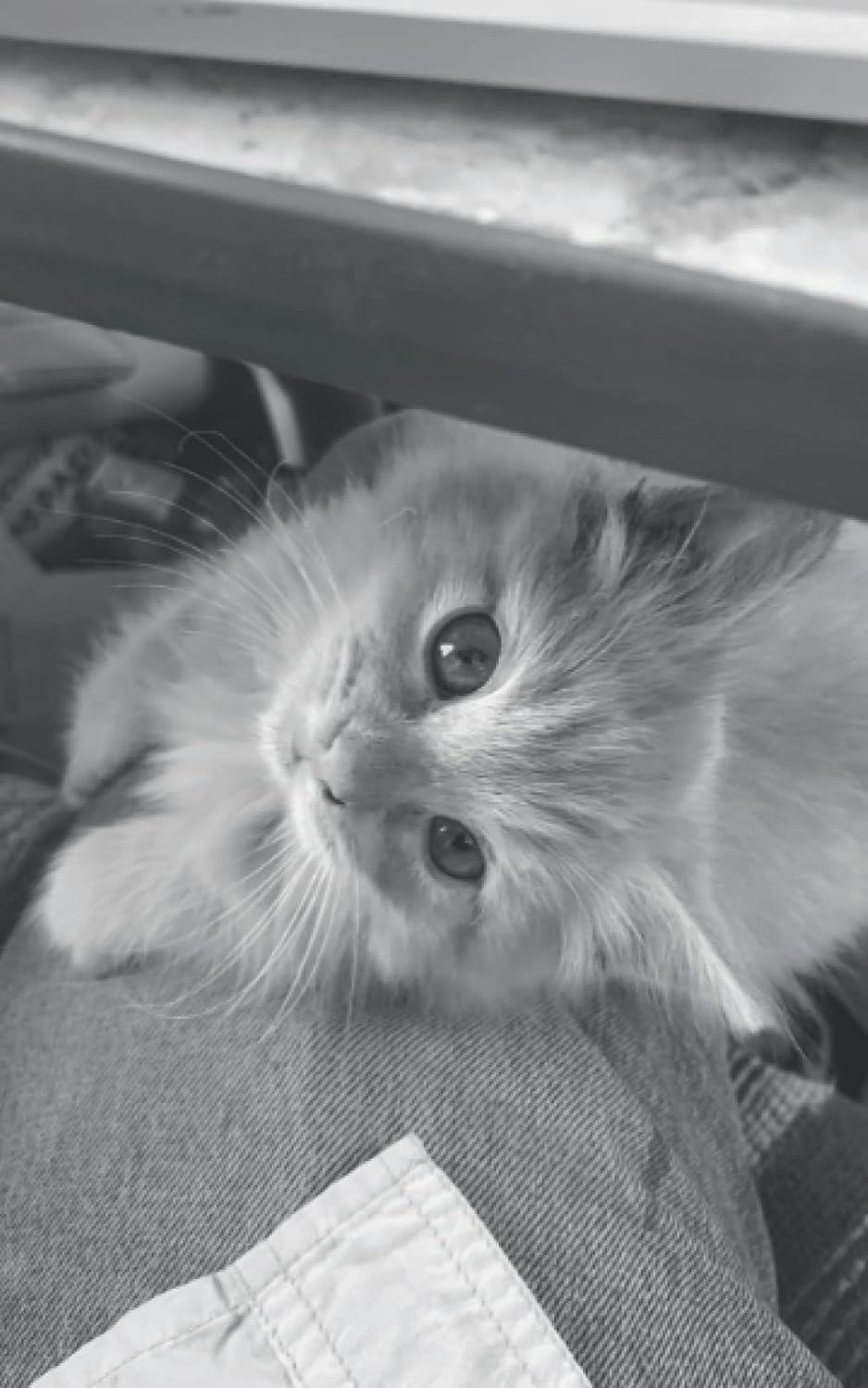 A person holding a gas canister in an urban setting