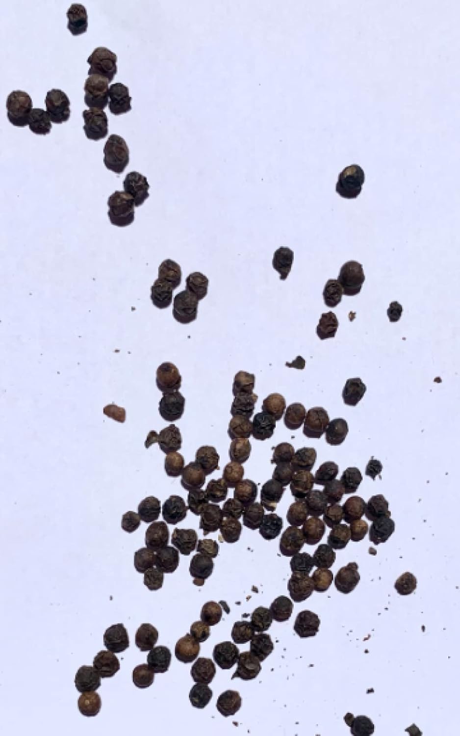 A person holding a gas canister in an urban setting